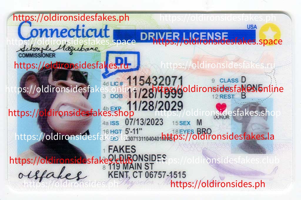 Connecticut Driver License(New CT)